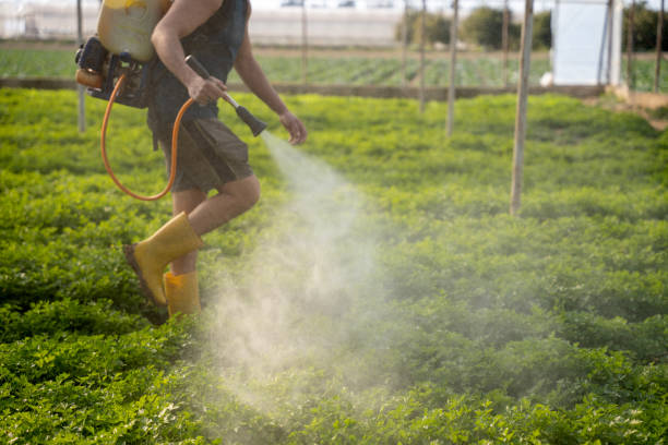 Best Affordable Pest Control Services  in Cliffwood Beach, NJ