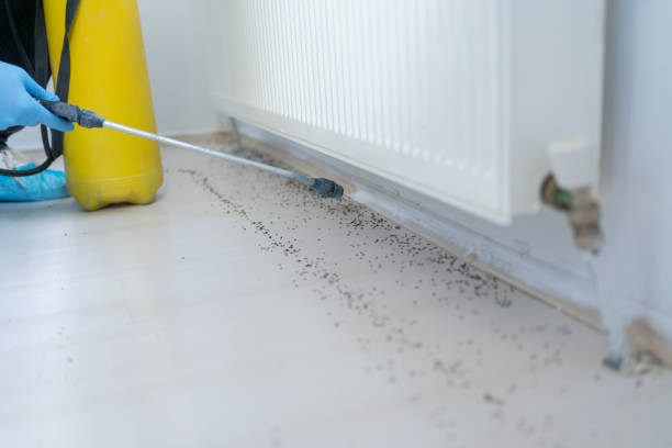 Best Exterminator Services  in Cliffwood Beach, NJ
