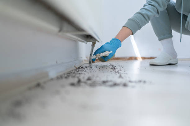 Best Residential Pest Control  in Cliffwood Beach, NJ
